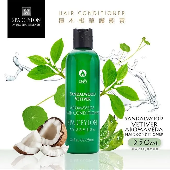 阿道夫．H：希特勒，一個獨裁者的一生【城邦讀書花園】 歷史價格詳細信息