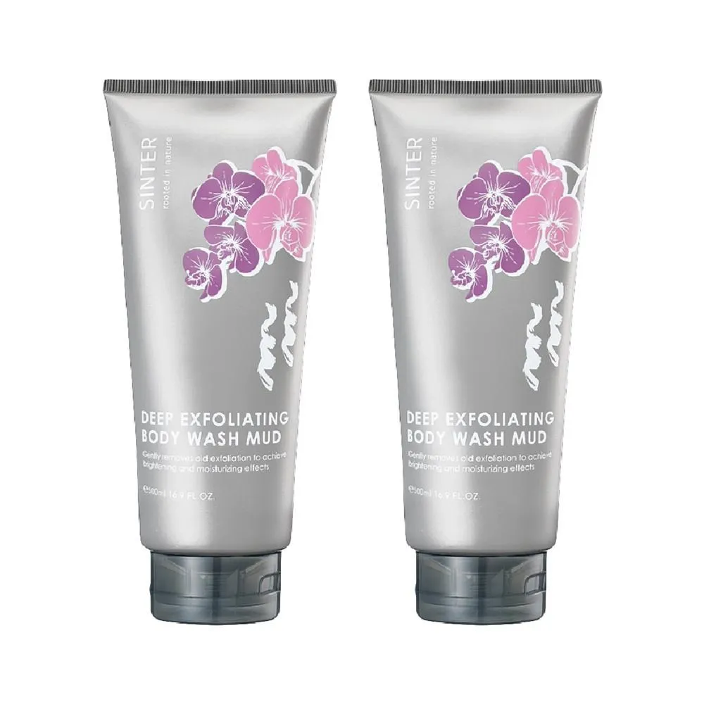 【sinter 聖泉華】溫泉泥深層潔淨洗顏霜 歷史價格詳細信息