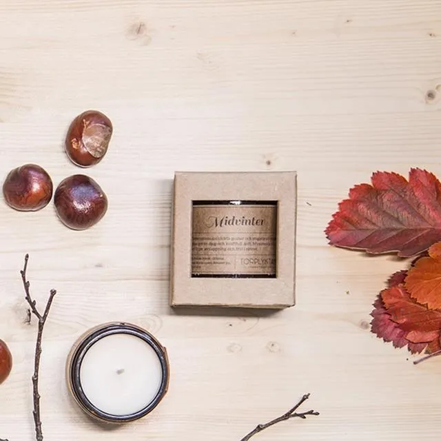 【瑞典 Torplyktan】極地風光蠟燭150g-硬殻雪 歷史價格詳細信息