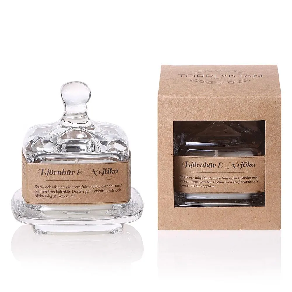 【瑞典 Torplyktan】極地風光蠟燭150g-硬殻雪 歷史價格詳細信息