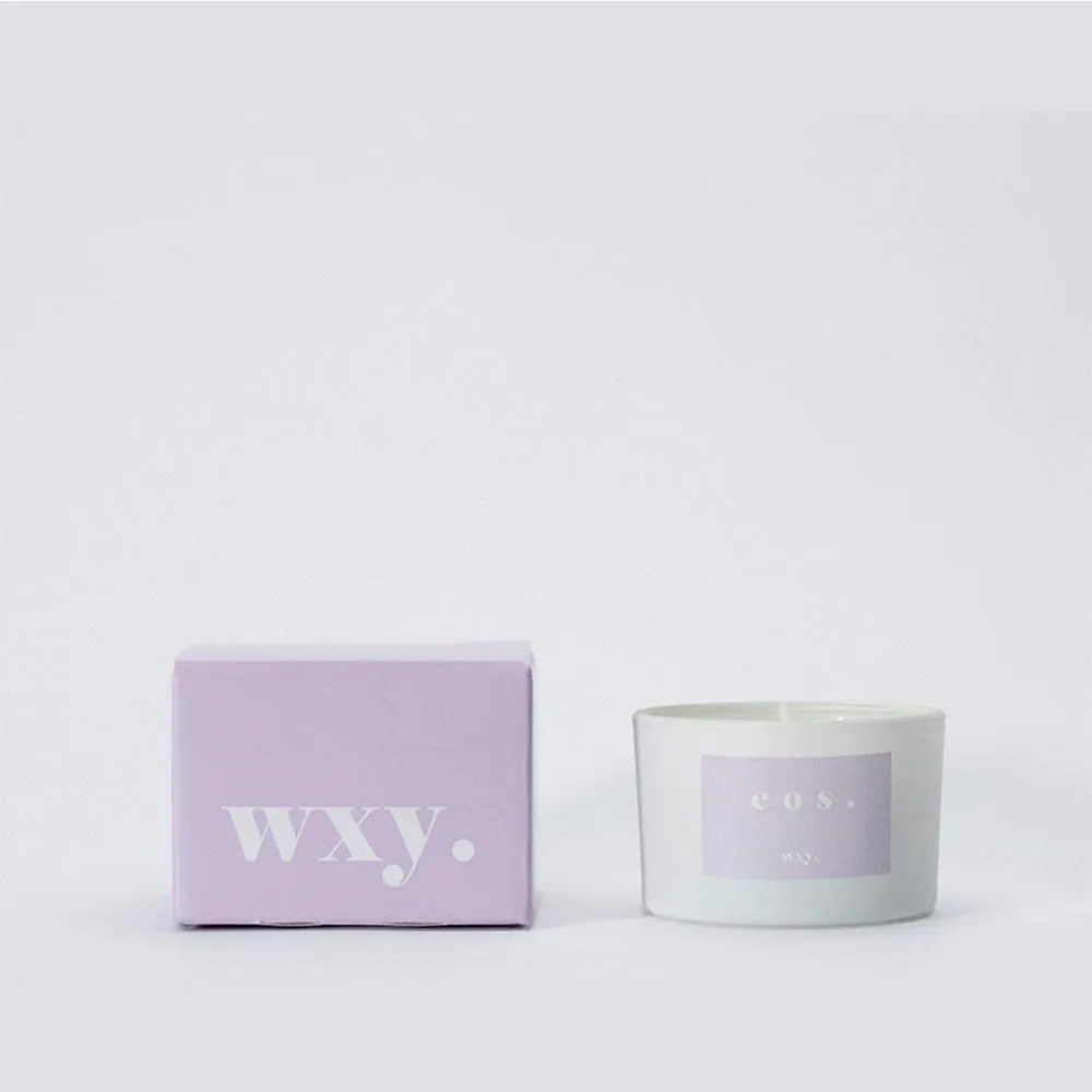 【英國wxy】經典mini蠟燭 - haze. 廣藿香 & 麻 / 95g 歷史價格詳細信息