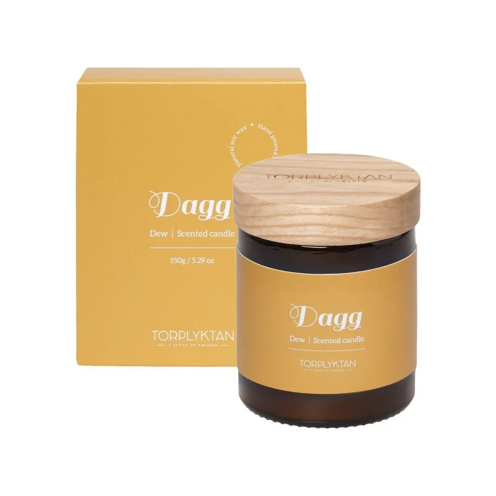 【瑞典 Torplyktan】平原風光擴香100ml-樹林 歷史價格詳細信息