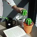 【QUALY】仙人掌攪拌棒《泡泡生活》餐具 廚房小物 冰匙 禮物 歷史價格詳細信息