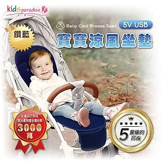 【kids paradise】汽車安全座椅保護墊 歷史價格詳細信息
