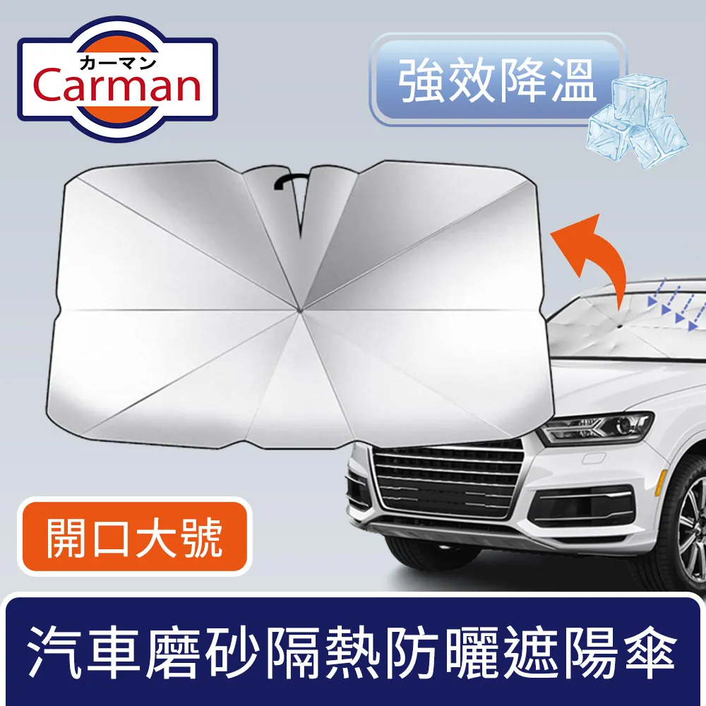 Carman 汽車雙層頂棚收納袋/車頂置物網 贈織帶 80x53cm 轎車款 歷史價格詳細信息