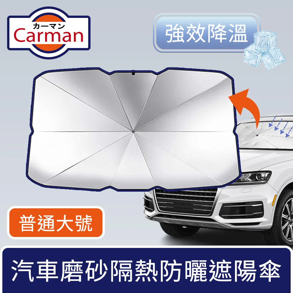 Carman 汽車雙層頂棚收納袋/車頂置物網 贈織帶 80x53cm 轎車款 歷史價格詳細信息