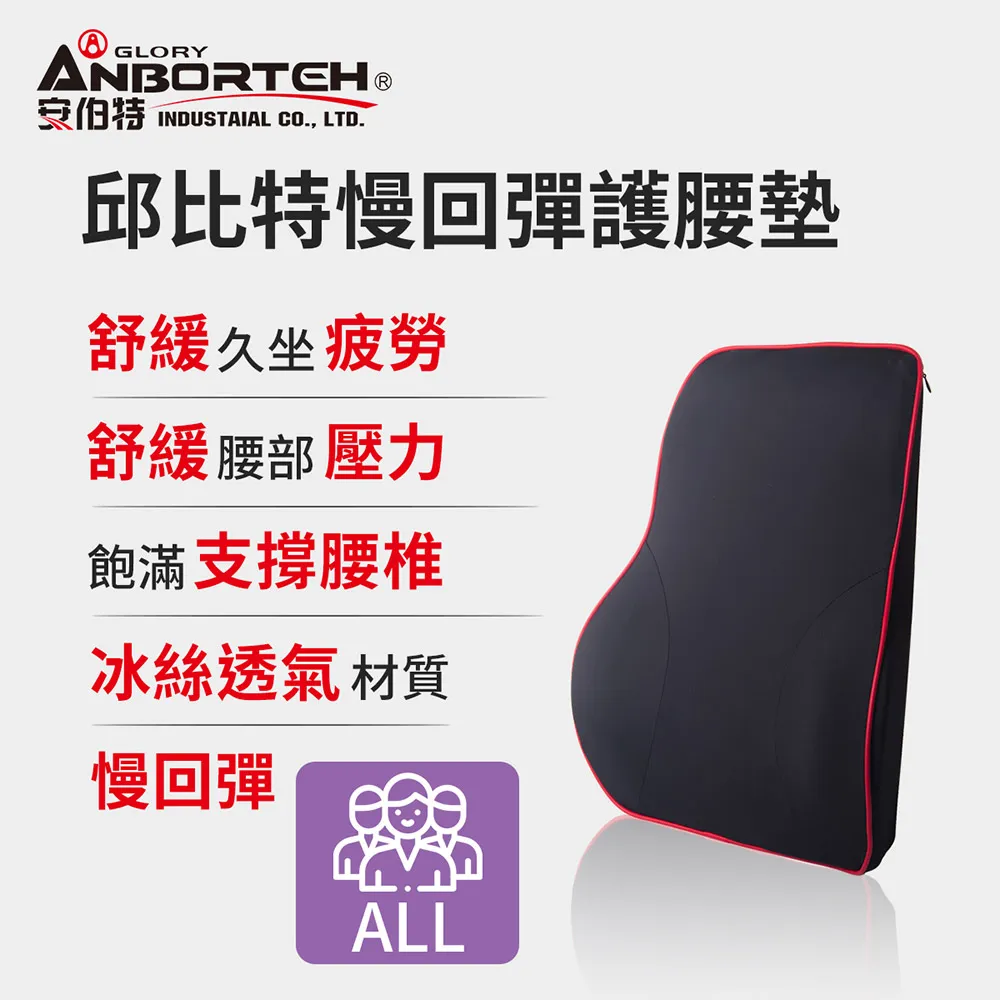 【安伯特】邱比特慢回彈護腰墊 (車用護腰墊 車用靠墊 車用腰枕 車用靠腰墊 汽車靠墊 車用腰枕 護腰枕 慢回彈記憶棉) 歷史價格詳細信息