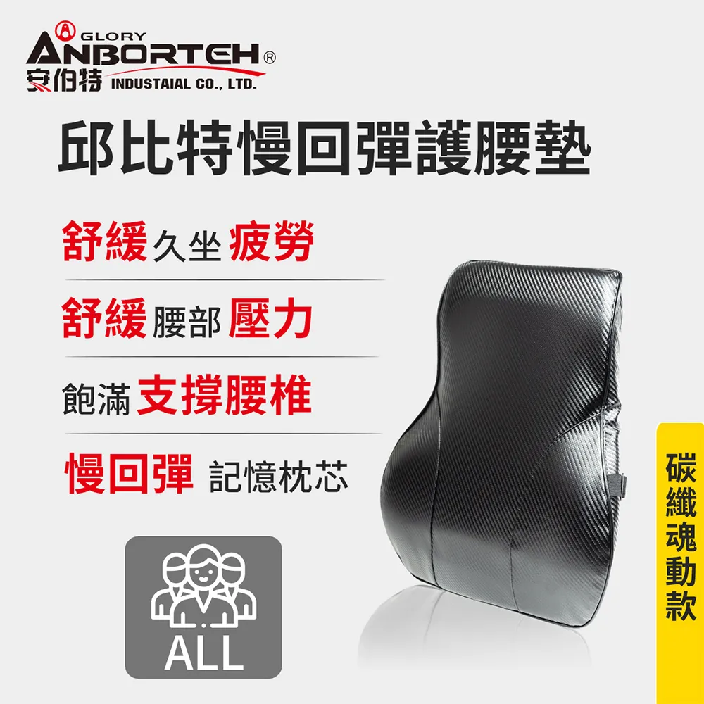 【安伯特】邱比特慢回彈護腰墊 (車用護腰墊 車用靠墊 車用腰枕 車用靠腰墊 汽車靠墊 車用腰枕 護腰枕 慢回彈記憶棉) 歷史價格詳細信息