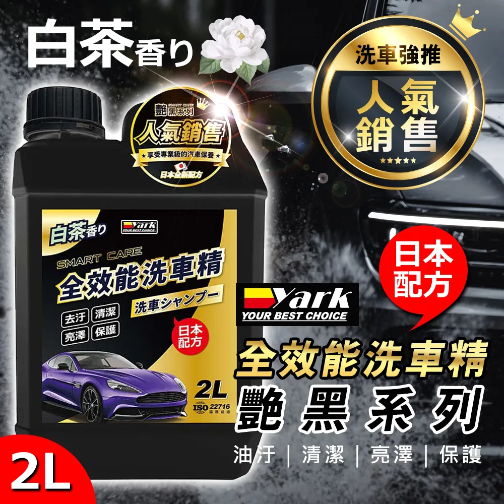 【黑珍珠】濃縮泡泡洗車精 1200ml(泡沫洗車精｜洗車精｜濃縮洗車精｜汽車美容) 歷史價格詳細信息