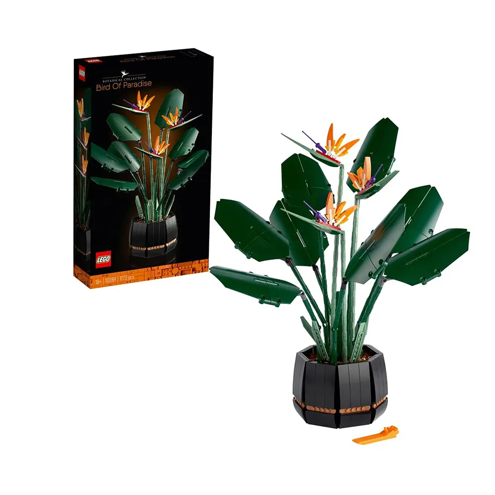 PARADISE BIRD天堂鳥◎Yu  Chyi齊豫【頭大大-CD】甲06◎FU6 歷史價格詳細信息