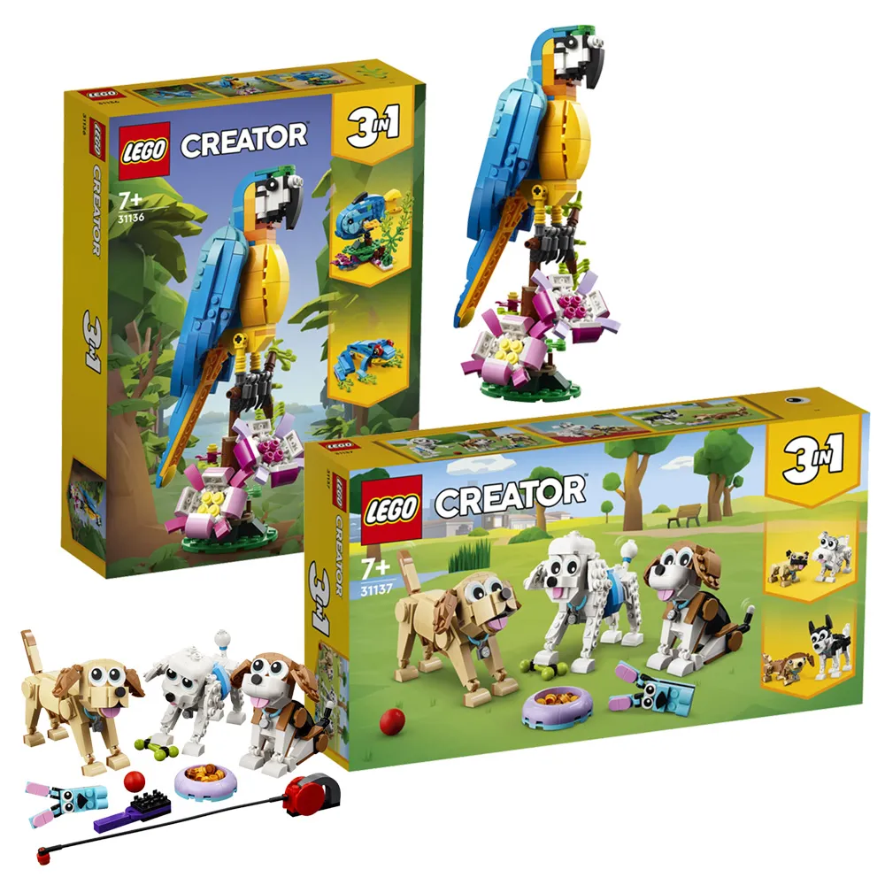 三民高中鸚鵡螺叢書教育005追本數源你不知道的祕密 歷史價格詳細信息