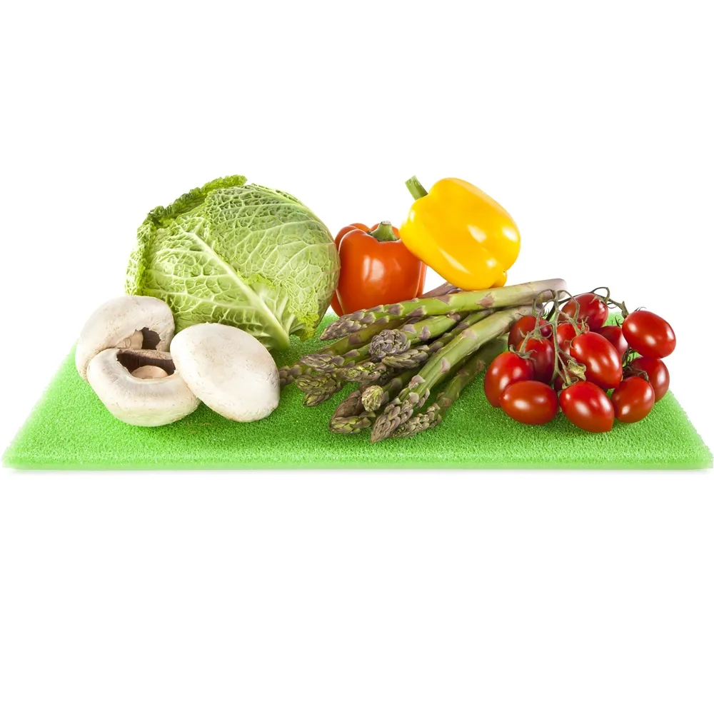 TESCOM氣墊梳子氣囊按摩梳女士專用長髮捲髮棒頭髮家用蓬鬆神器排 歷史價格詳細信息