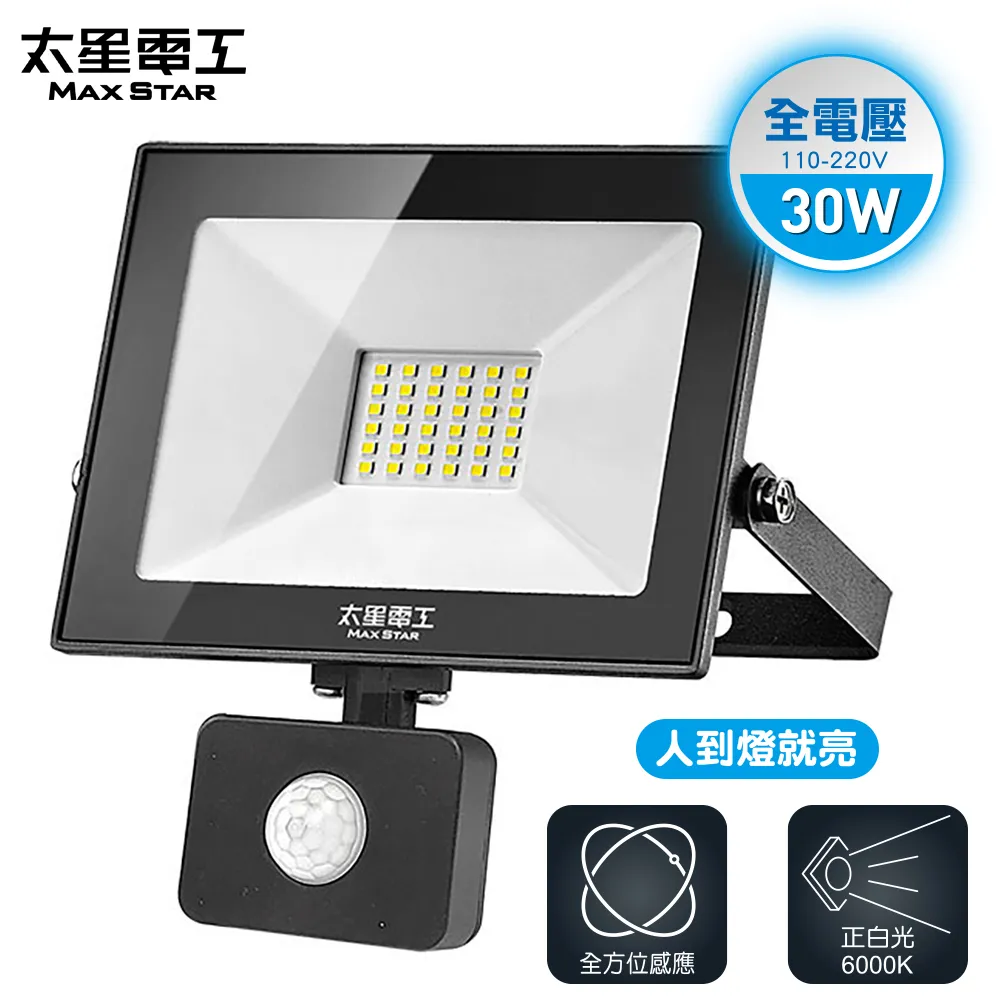 【太星電工】30WLED防水投射燈/220V/白光 歷史價格詳細信息