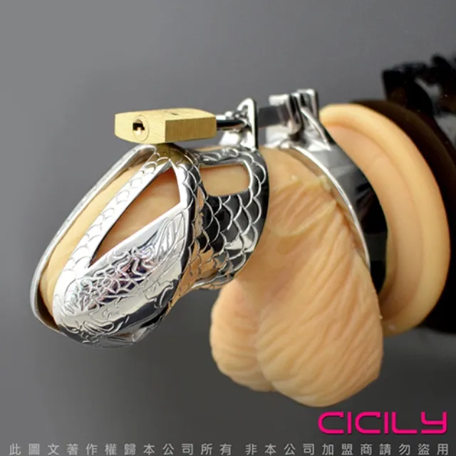 貞操帶永久女用貞潔鎖成人情趣玩具永久長期佩戴2022款SM黑帝 歷史價格詳細信息