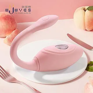 P5小K逗10X3電波遙控蛋-智享版 歷史價格詳細信息