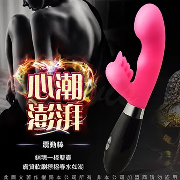 雙棒一起 穿戴老二+肛塞 可拆卸穿戴陽具褲(黑) 歷史價格詳細信息