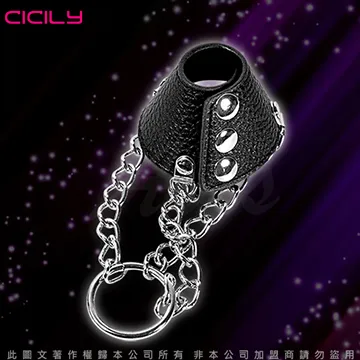 CICILY 情趣銀環 乳夾 YL-00060 歷史價格詳細信息