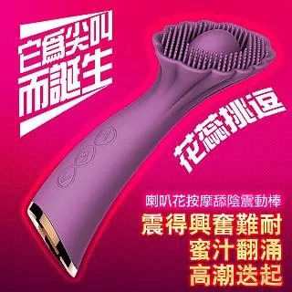 喇叭加油棒 口吹喇叭 球迷高音喇叭 (橫式)/一支入(促30) 巫茲拉拉 啦啦隊加油棒 造勢喇叭-YF14635 歷史價格詳細信息