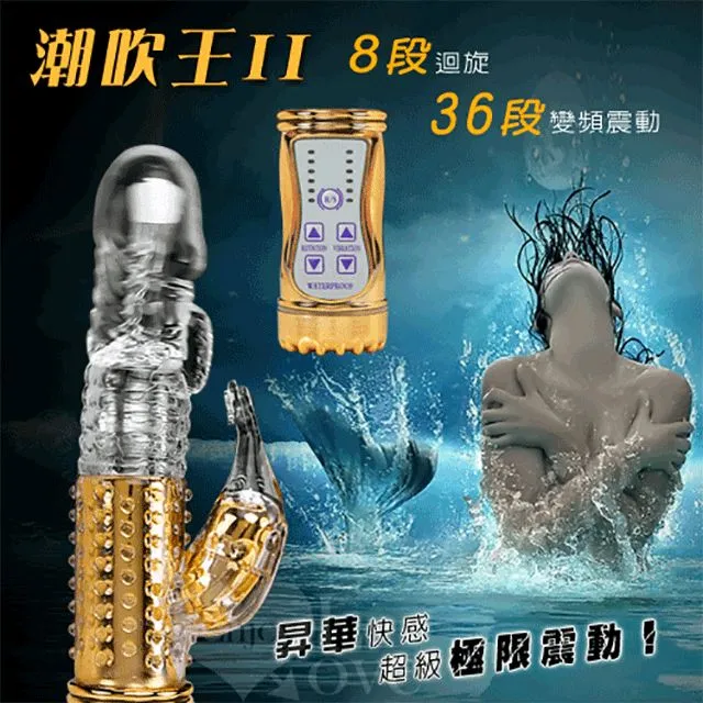 潮王24吸附健美棒【芳斯葛瑞情趣用品】成人玩具 按摩棒 陽具 女用 震動棒 歷史價格詳細信息