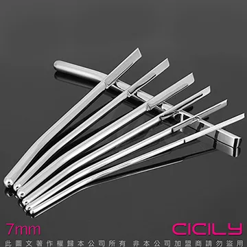 虐戀精品CICILY-金屬圓滑肛鉤(單珠) 歷史價格詳細信息