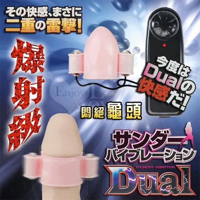 重播 雷蒙 錢德勒 漫長的告別 大眠作者 臉譜 A02 歷史價格詳細信息