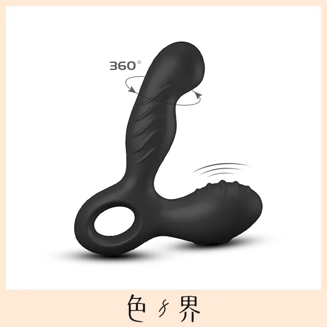 德國Nomi Tang Spotty 2 斯波帝2 前列腺旋轉震動器 歷史價格詳細信息