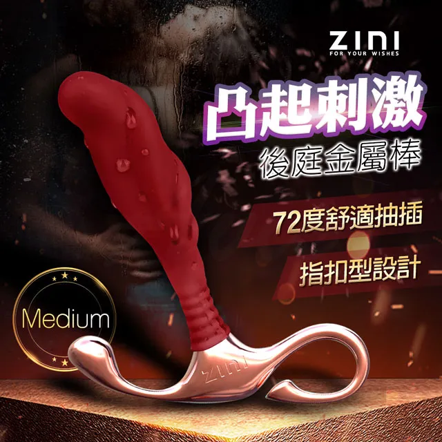 ZINI｜布萊克｜前列腺後庭金屬棒/中 歷史價格詳細信息