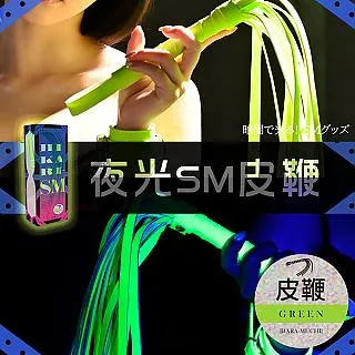 【EXE】SM調教開發9頻超強震動皮鞭 歷史價格詳細信息