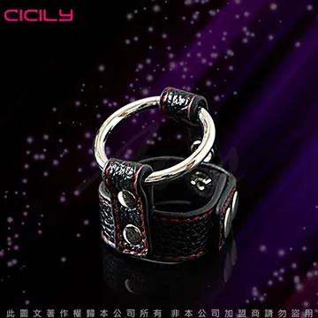 CICILY 情趣銀環 乳夾 YL-00060 歷史價格詳細信息