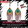 Lovetoy BONDAGE FETISH 虐戀系列-孔雀翎耳環式性感乳夾 歷史價格詳細信息