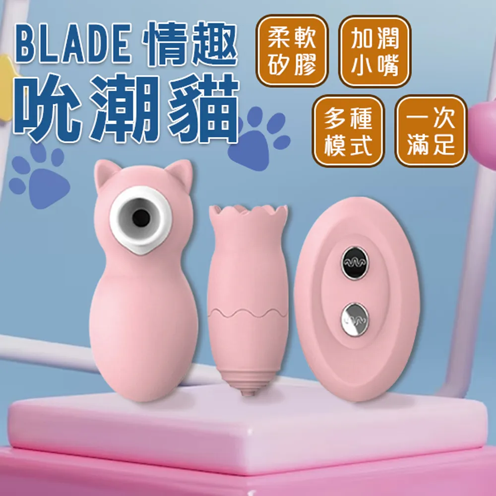 BLADE矽膠乳貼 2入 胸貼 台灣公司貨 矽膠胸貼 無痕胸貼 防激凸 現貨 當天出貨 諾比克 歷史價格詳細信息