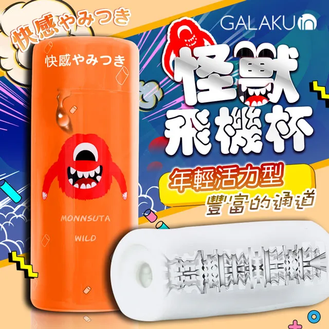 GALAKU★飛機杯硅藻吸濕乾燥棒(Z126-01) 歷史價格詳細信息