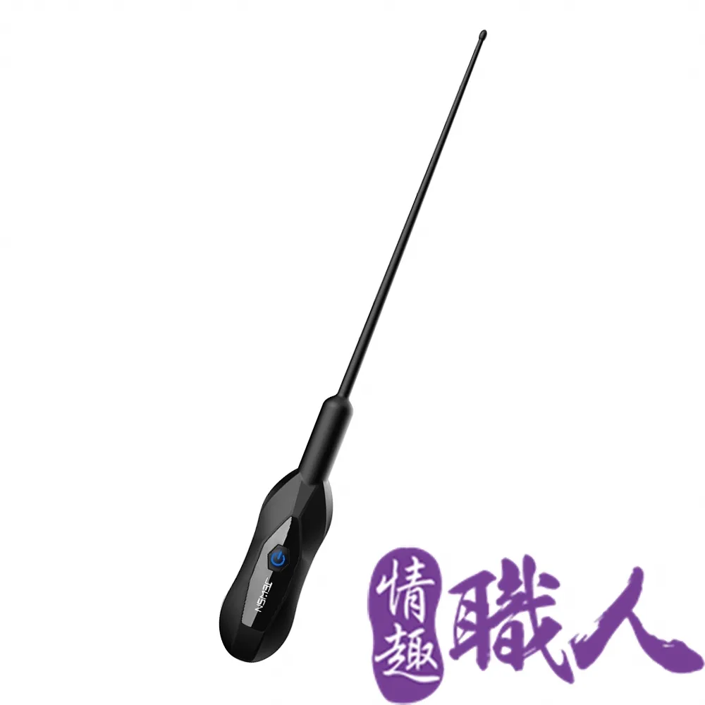 JEWSN｜尿道刺激 10頻 震動馬眼棒 前列腺刺激 - 平滑 歷史價格詳細信息