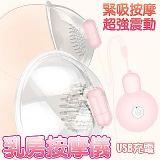 【久愛精選】冰火二重天水莖晶感按摩棒 歷史價格詳細信息