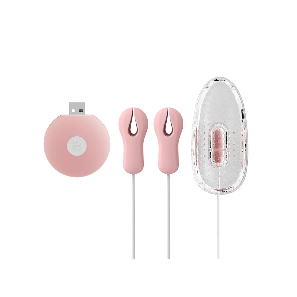 FUNFLY 放飛 逗豆筆 舌舔震動 按摩棒 雙震款|情趣按摩棒 情趣用品 歷史價格詳細信息