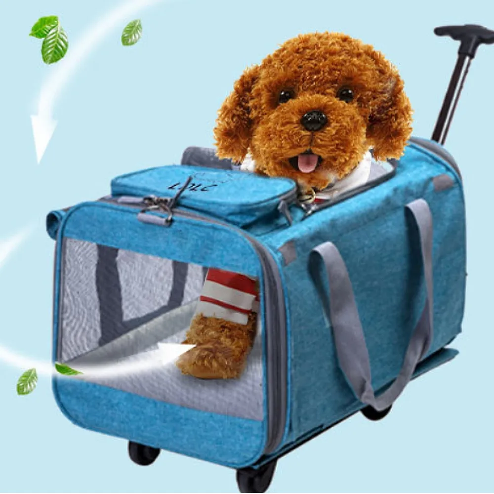 【向物】多功能暖桌墊 台灣版 加熱桌墊 恆溫墊 保暖保溫 居家辦公 歷史價格詳細信息