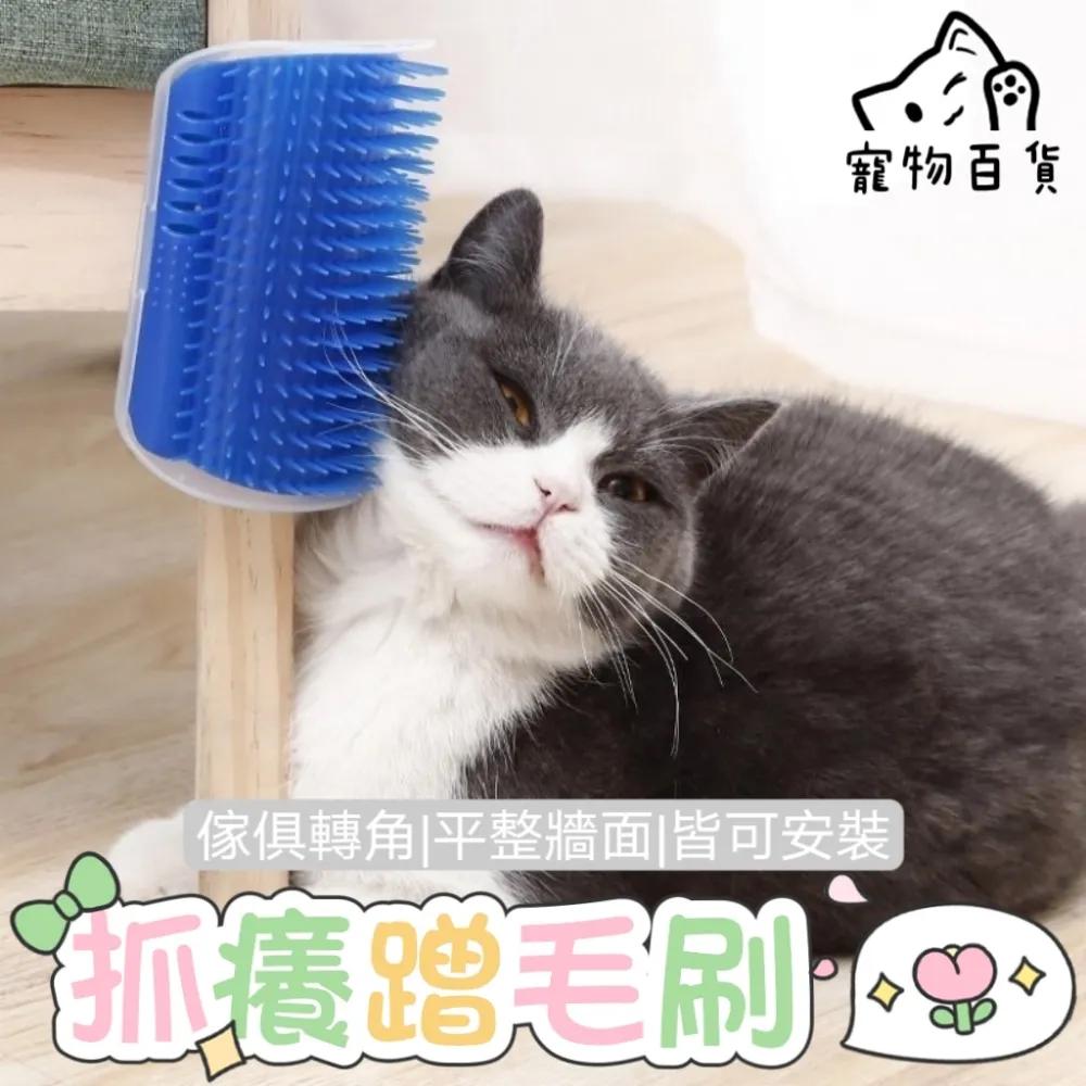 百病皆可清腸治 讓自己的腸部變清潔就在于怎么吃和&ldquo;怎么排泄&rdquo; 歷史價格詳細信息