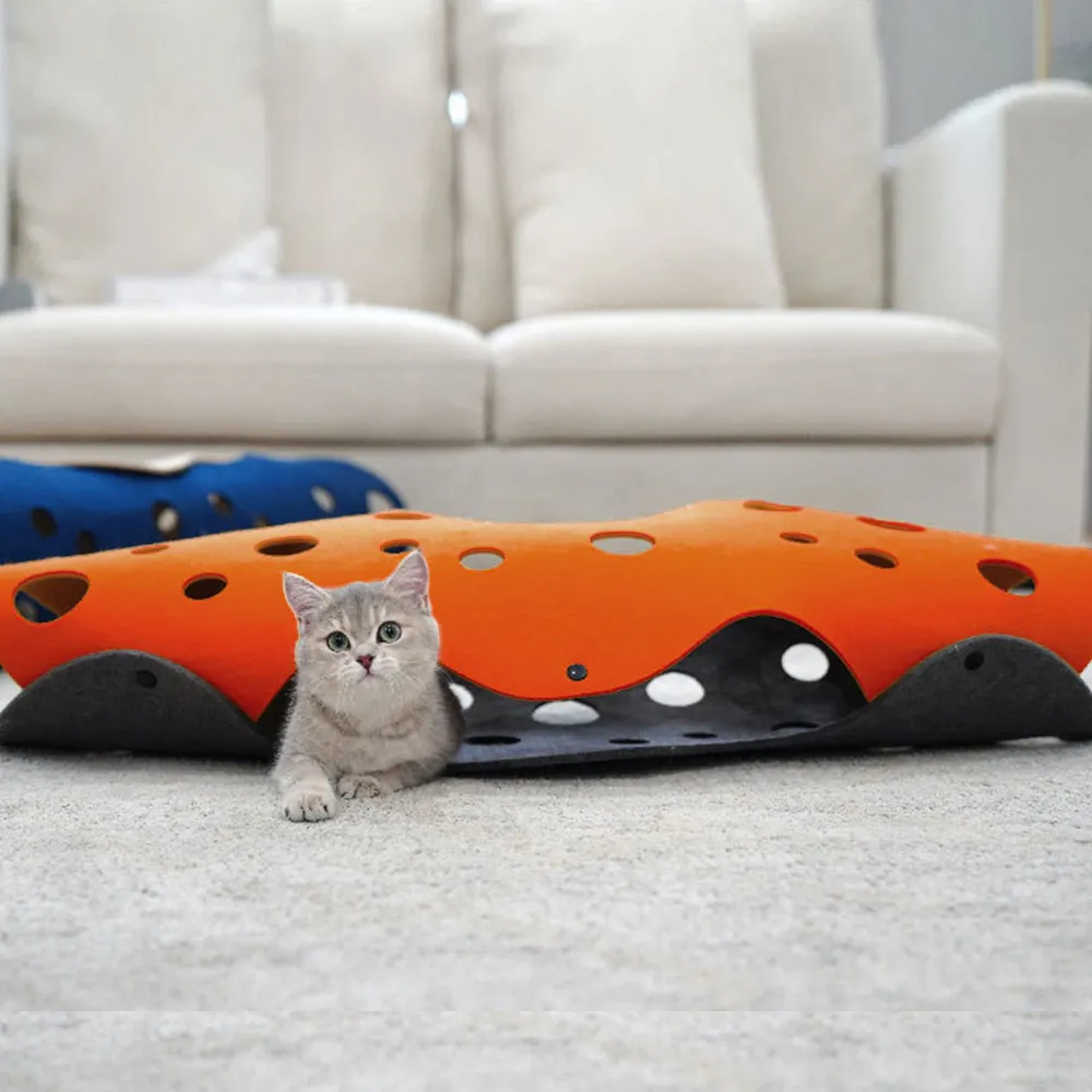 隧道3部曲 地核FREEFALL+The President Has Been Shot!+..=14本合售=只有1套 歷史價格詳細信息