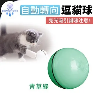 青青 貓貓安全剪刀-簡單生活系列/CZ-814 歷史價格詳細信息