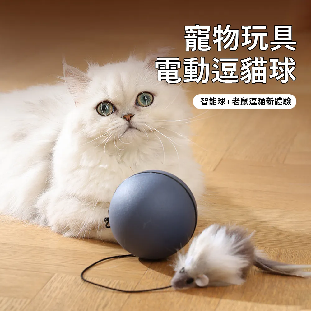 電動智能逗猫魔盒 綠/白/紫色 現貨 廠商直送 歷史價格詳細信息