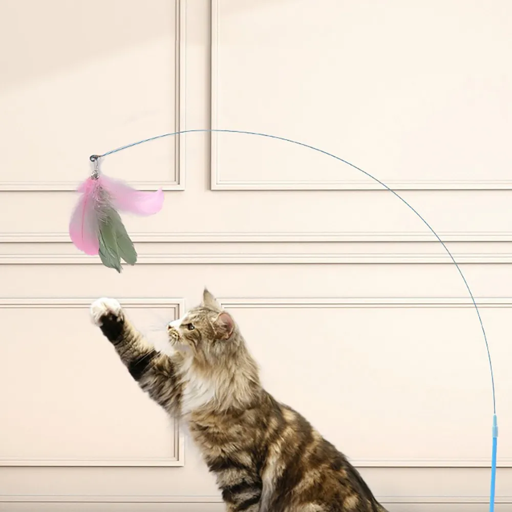 寵物王-麗利寶 2761 愛兔長方型便盆 小白兔 兔子用品 寵物用品 廁所 兔子廁所 寵物便盆 寵物兔便盆 便所 歷史價格詳細信息