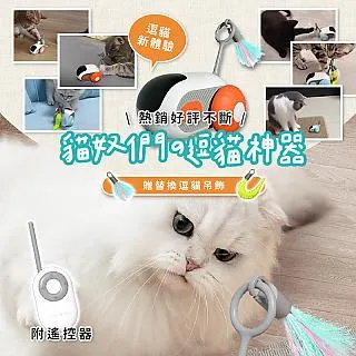 馬賽貓塔羅 Marseille Cat Tarot｜清晰明瞭的元素和細節，顯現出歡樂無憂的氣氛【左西購物網】 歷史價格詳細信息