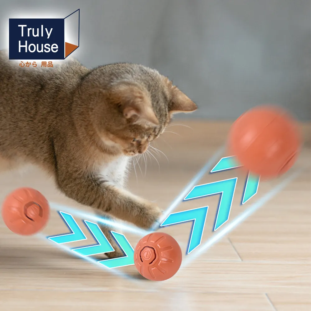 引力寵物自嗨玩具蜜蜂電動跑跑車智能感應逗棒羽毛消耗體力神器 歷史價格詳細信息