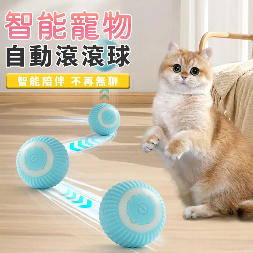 引力寵物自嗨玩具蜜蜂電動跑跑車智能感應逗棒羽毛消耗體力神器 歷史價格詳細信息