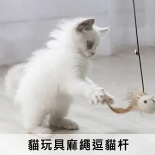 木質手柄跳繩兒童運動休閑玩具學生體育用品尼龍木柄跳繩 歷史價格詳細信息