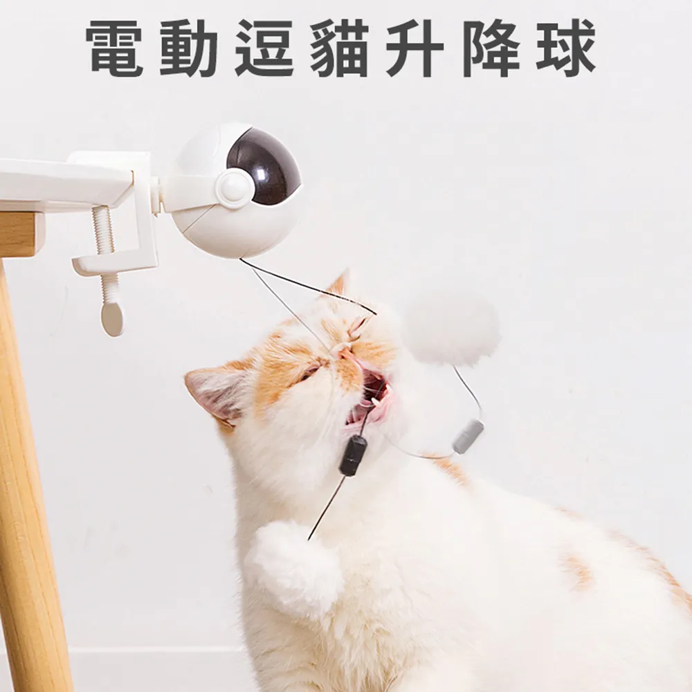 升降球動態吊球燈婚慶宴會廳裝飾燈懸浮七彩圓形矩陣燈球 歷史價格詳細信息