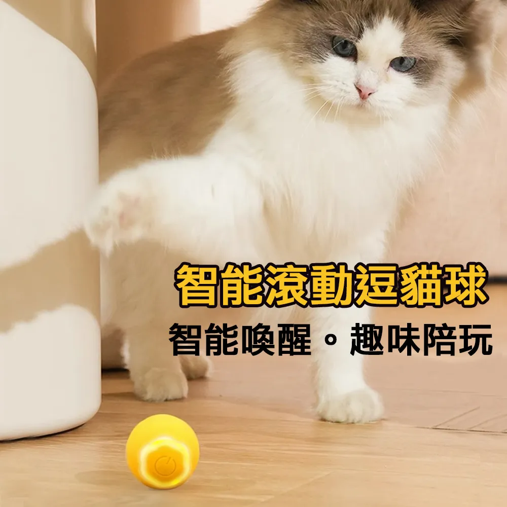 Ｍamy Pets 貓咪原木手工逗貓神器/解悶玩具。4款 歷史價格詳細信息