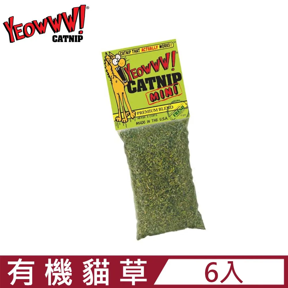【6入組】美味關係-小不點饅頭(犬用) 160g±5% 歷史價格詳細信息
