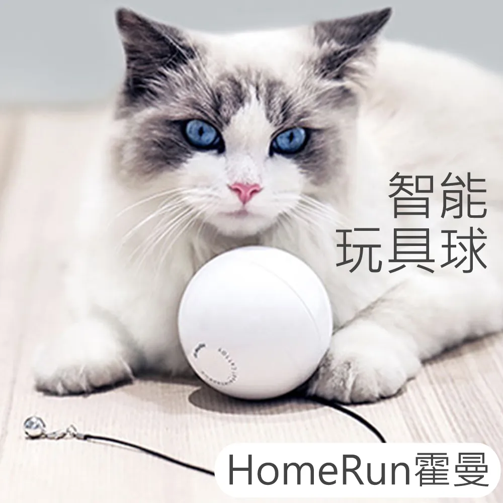 Homerun 智能玩具球 小魔球 白 歷史價格詳細信息