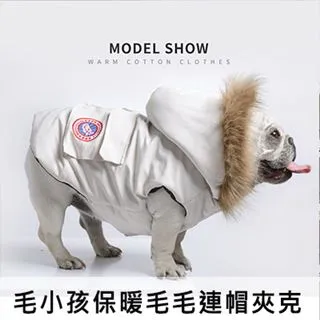 柯克基礎外科技術 (原書第7版) (英)費奧納.敏 主譯崔煒 9787030736246 【台灣高等教育出版社】 歷史價格詳細信息